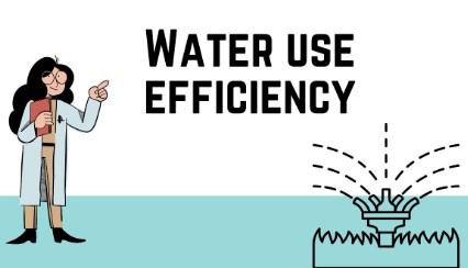 Water-use Efficiency